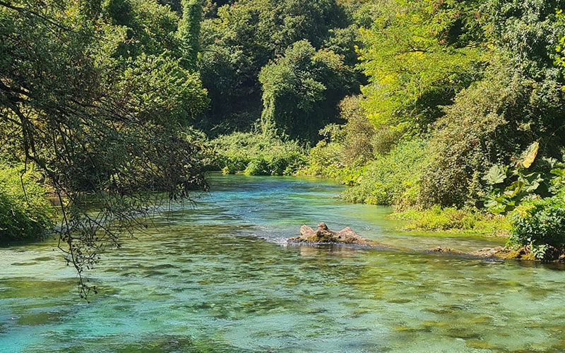 Río de agua cristalina rodeado de vegetación.